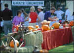 H-Grape growers booth.jpg (59154 bytes)